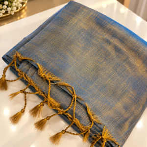 sareee Tissue blue Saree