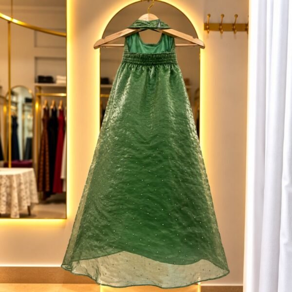 shimmer-organza-frock-green-back-1.jpg Shimmer Organza Frock - Green